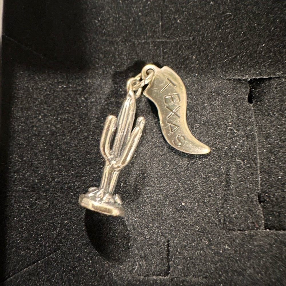 Sterling Silver Cactus and Texas Charm